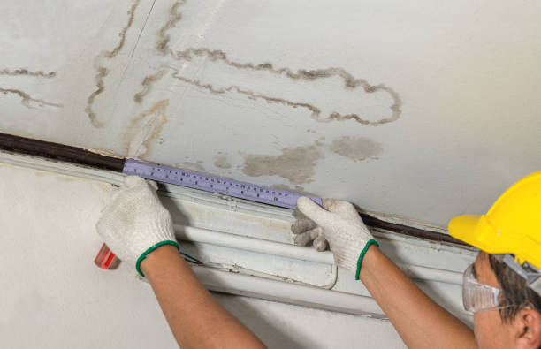 Reliable Burst Pipe Cleanup contractor in Tremont, IL by Water Damage Irwin
